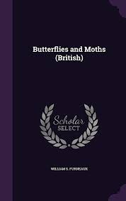 Butterflies and Moths (British)